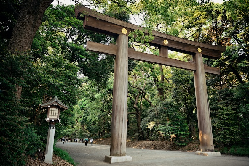 Yoyogi Park offers a luscious green getaway right in the center of Tokyo. Yoyogi Park offers a luscious green getaway right in the center of Tokyo.