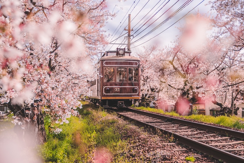 Japan's trains are not only efficient, but beautiful too. Japan's trains are not only efficient, but beautiful too.