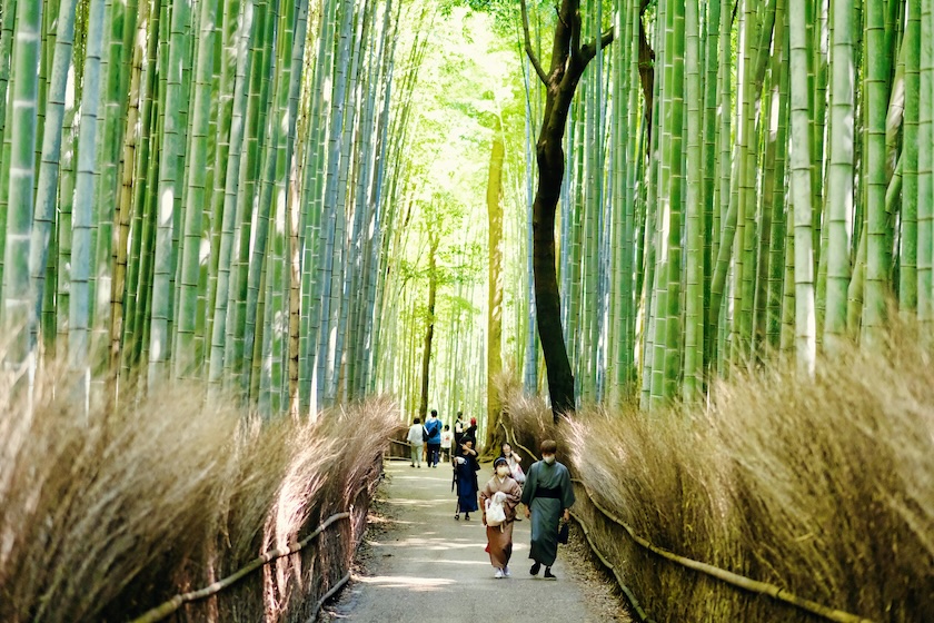 Arashiyama Bamboo Grove, Kyoto. Arashiyama Bamboo Grove, Kyoto.