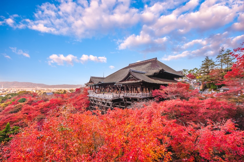 Kiyomizudera is stunningly beautiful. Kiyomizudera is stunningly beautiful.