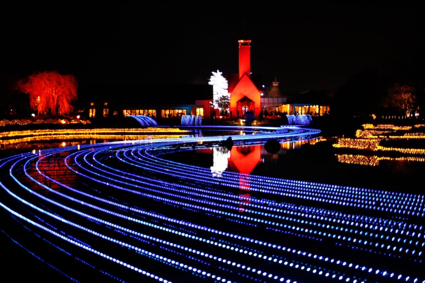 Nabana no Sato illuminations.