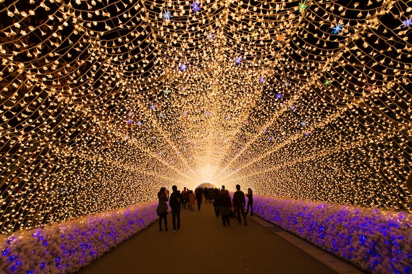 Family, friends, and couples enjoy Japan Christmas Lights.