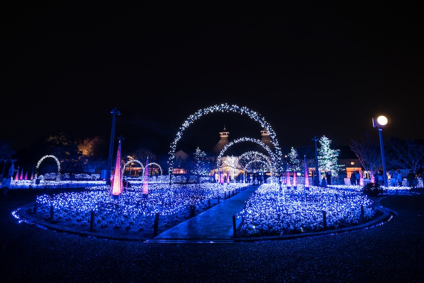 Spectacular Christmas lights at Nabana no Sato.