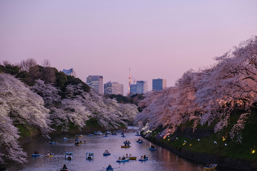 Take a boatride this spring in Japan. Take a boatride this spring in Japan.