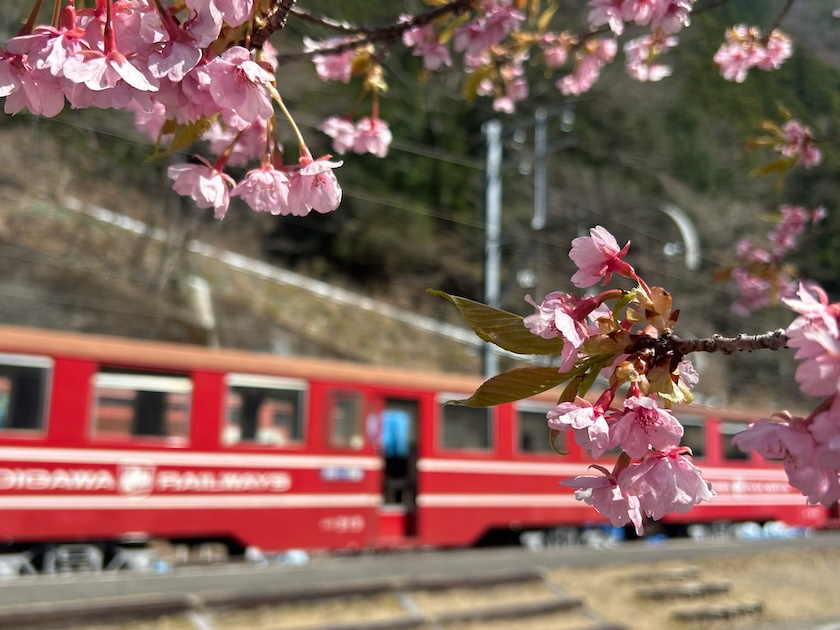 Scenic train journeys during spring in Japan. Scenic train journeys during spring in Japan.