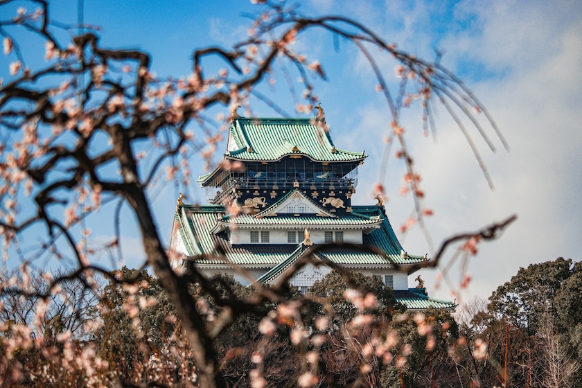 Plum blossom at Osaka Castle.