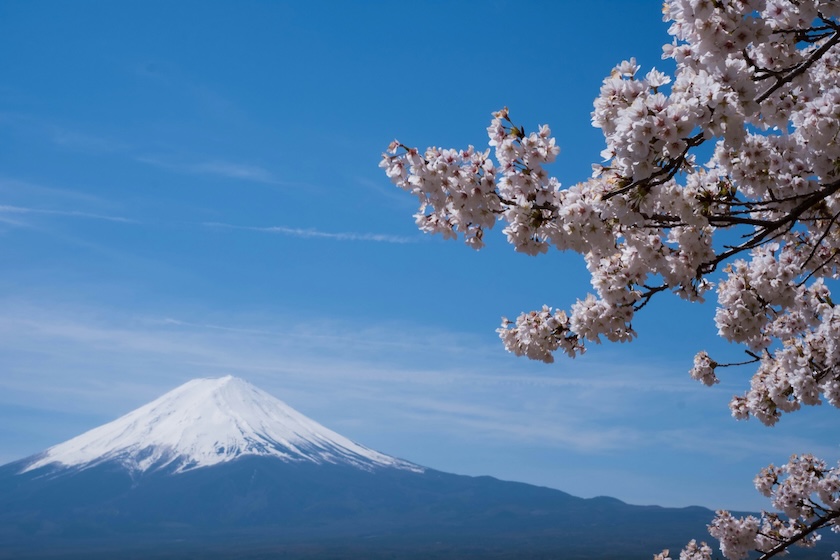 Japan and blossoming flowers go hand in hand.