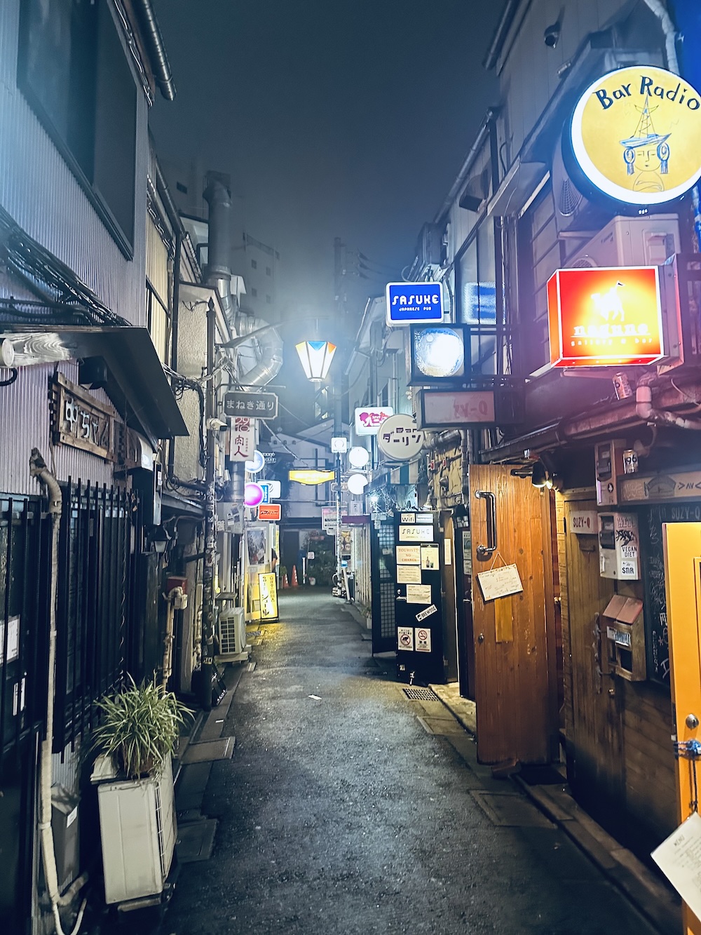 Bar-hopping in Golden Gai, Shinjuku, Tokyo.