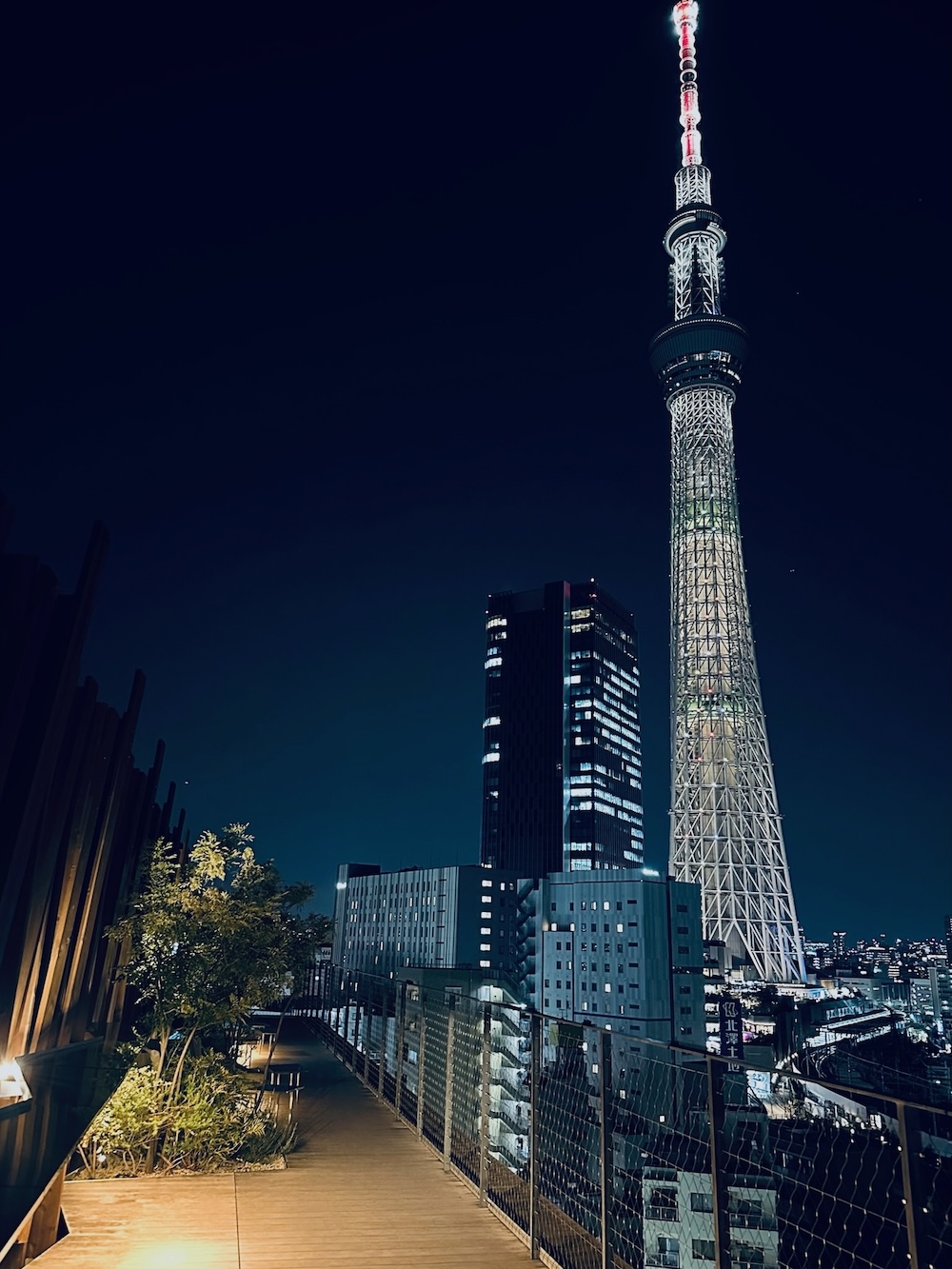 The view of Tokyo Skytree from the rooftop terrace on my first night in Tokyo.