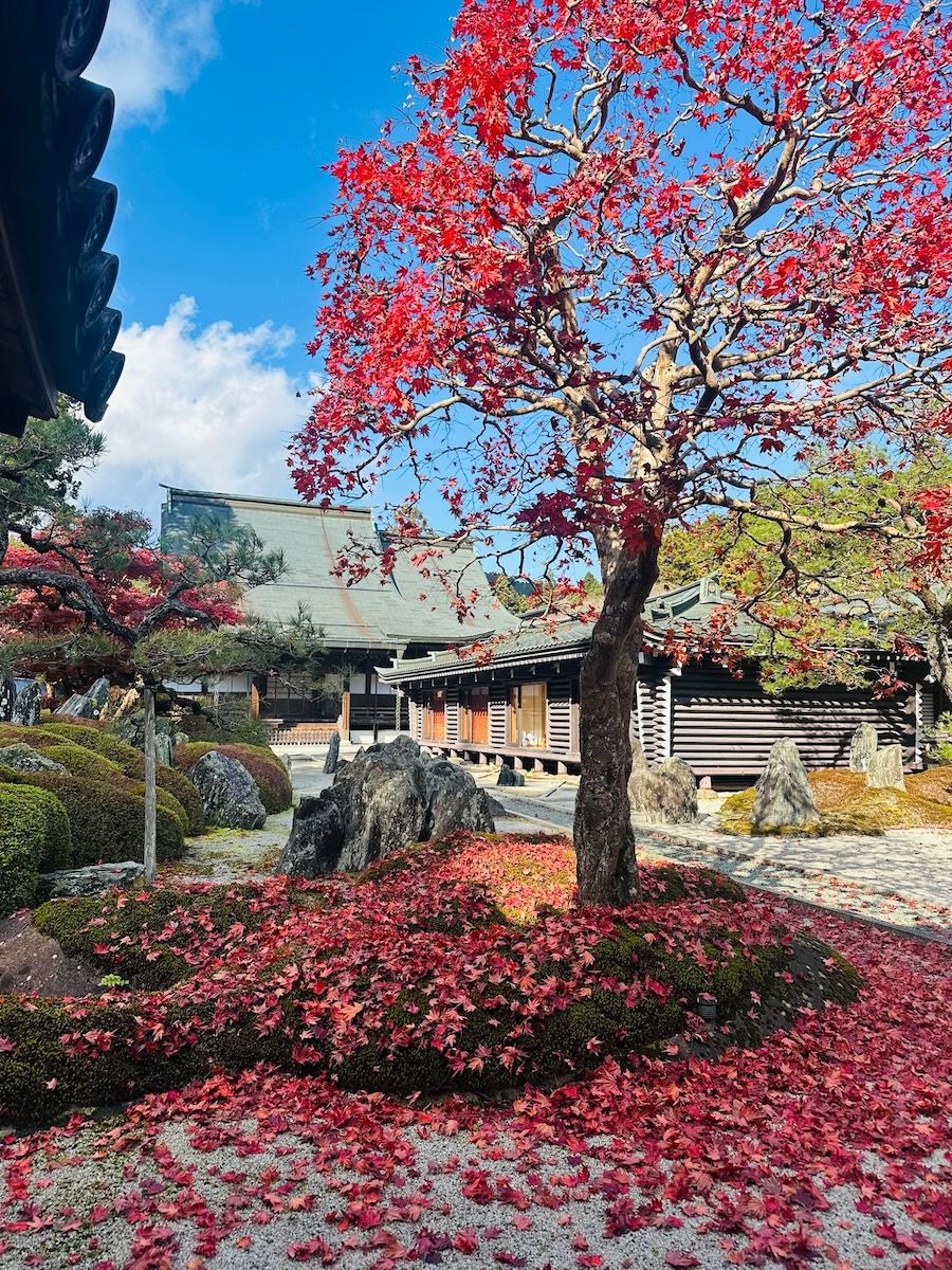 The gardens of Fukuchin in Koyasan.