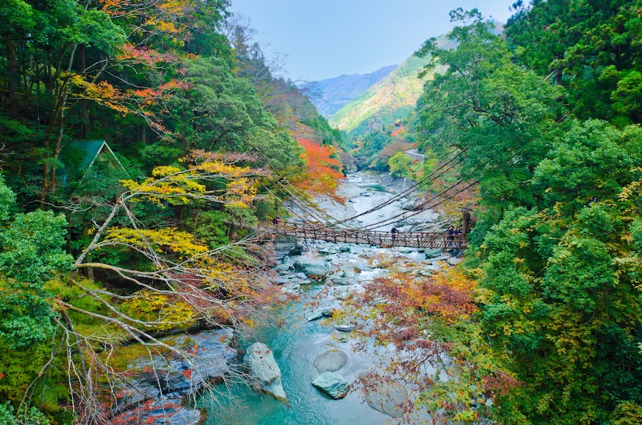 The big picture view of the Iya Valley and its bridge.