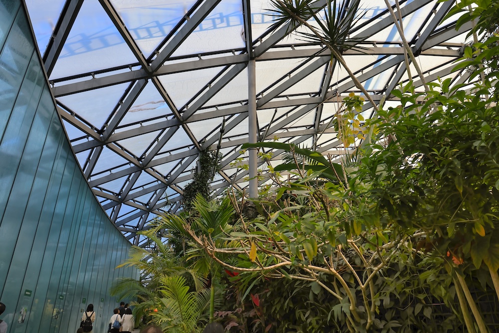 Shinjuku Gyoen National Garden also features a stunning green house and botanic gardens. Shinjuku Gyoen National Garden also features a stunning green house and botanic gardens.