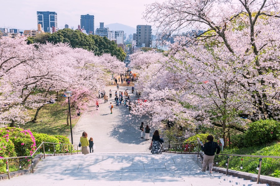 April is a stunning time of year to visit Japan.