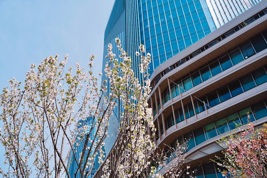 A global gateway at Takanawa Gateway City - and it even comes with cherry blossoms.