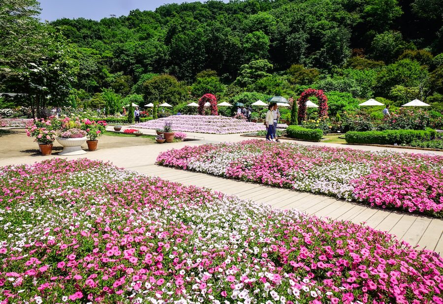 Ashikaga Flower Park is not to be missed.