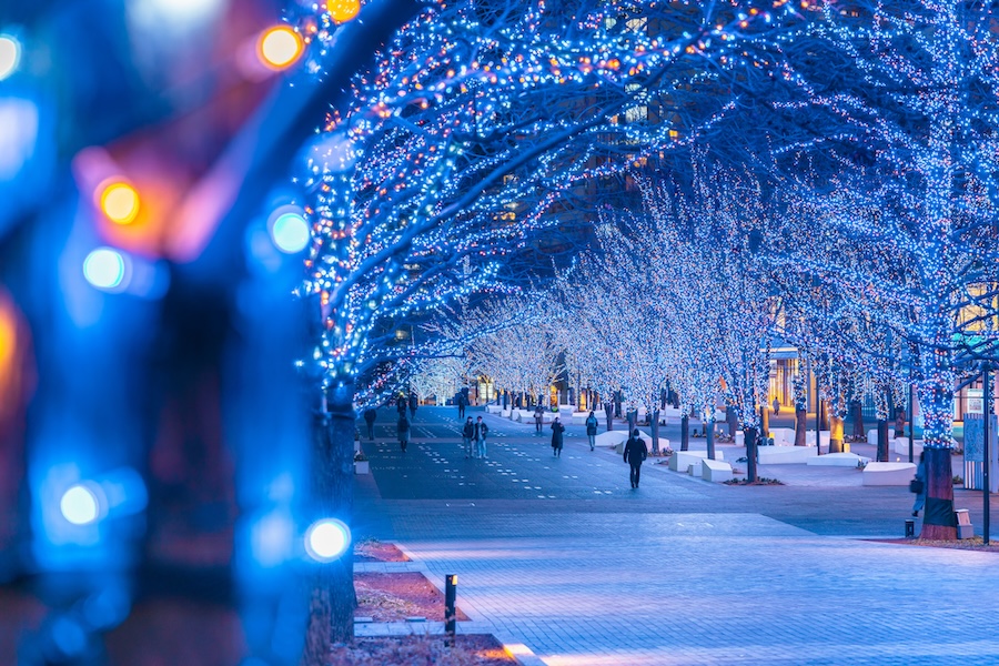 Japan does winter illuminations like nowhere else. Japan does winter illuminations like nowhere else.
