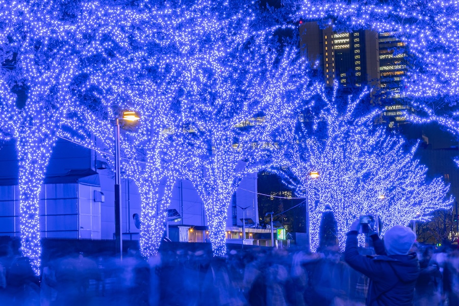 Japan's winter illuminations are incredibly popular with tourists and residents alike. Japan's winter illuminations are incredibly popular with tourists and residents alike.
