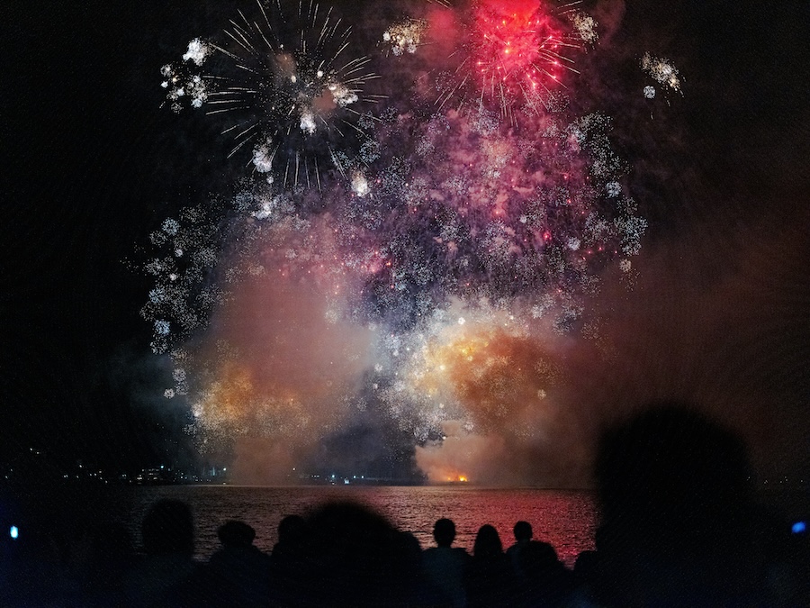 Flower fire in the Japan sky Flower fire in the Japan sky