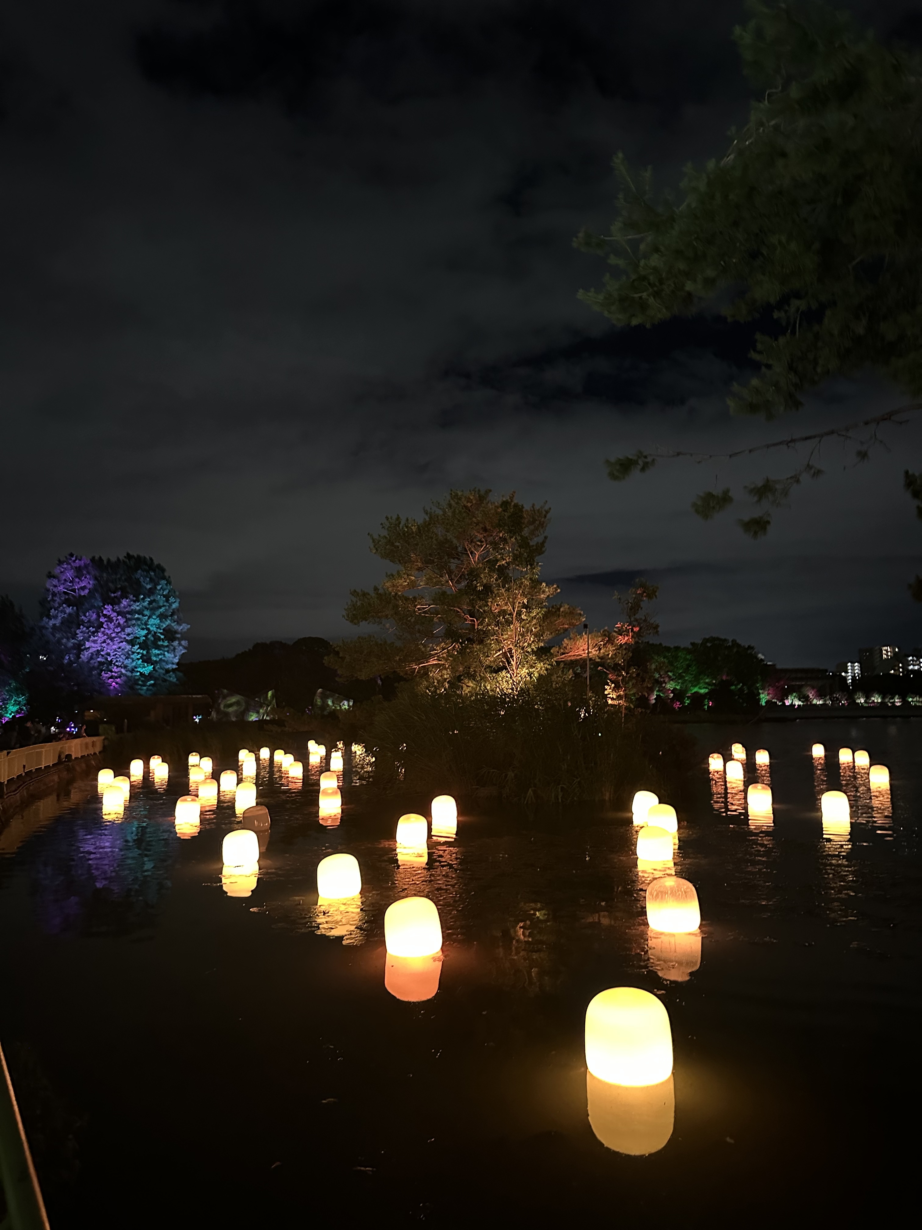 teamLab Botanical Garden Osaka teamLab Botanical Garden Osaka