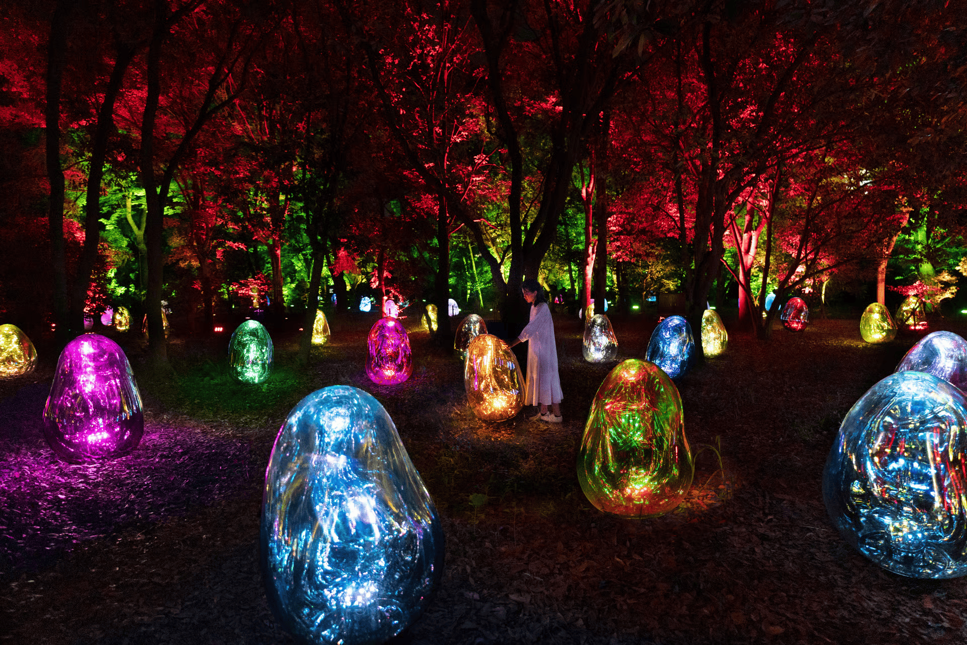 teamLab, 2022, Interactive Installation, Sound: Hideaki Takahashi, Production Support: Hirohito Saito (OryZa Design), Shinya Yoshida (SYD INC.)
