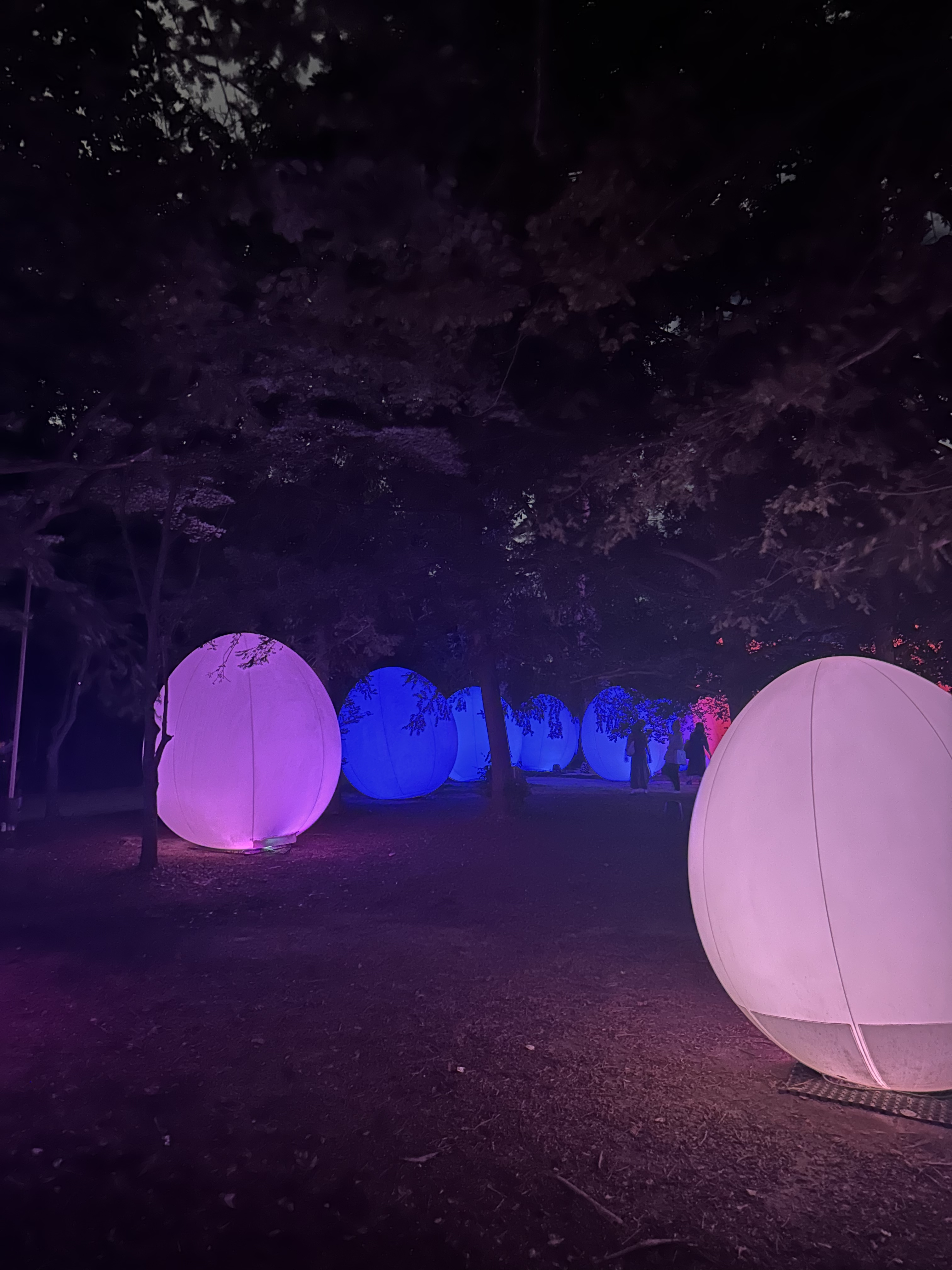 teamLab, 2018, Interactive Installation, Endless, Sound: Hideaki Takahashi, teamLab teamLab, 2018, Interactive Installation, Endless, Sound: Hideaki Takahashi, teamLab