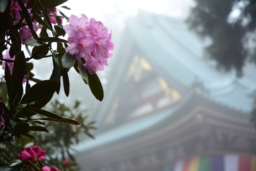 Hieizan Enryaku-ji. Hieizan Enryaku-ji.