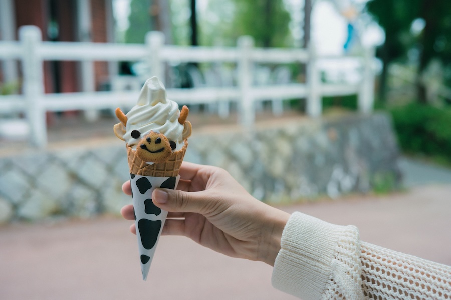 Moo moo milk ice cream!