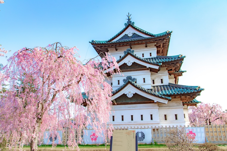 Hirosaki Castle is considered one of Japan's most beautiful castles. Hirosaki Castle is considered one of Japan's most beautiful castles.