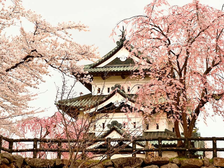 Hirosaki Castle is worth visiting all year round. Hirosaki Castle is worth visiting all year round.