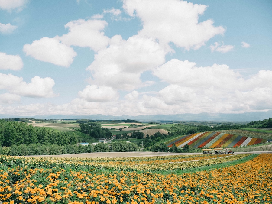 Hokkaido is known for its beautiful flower fields as well as its rugged mountains. Hokkaido is known for its beautiful flower fields as well as its rugged mountains.