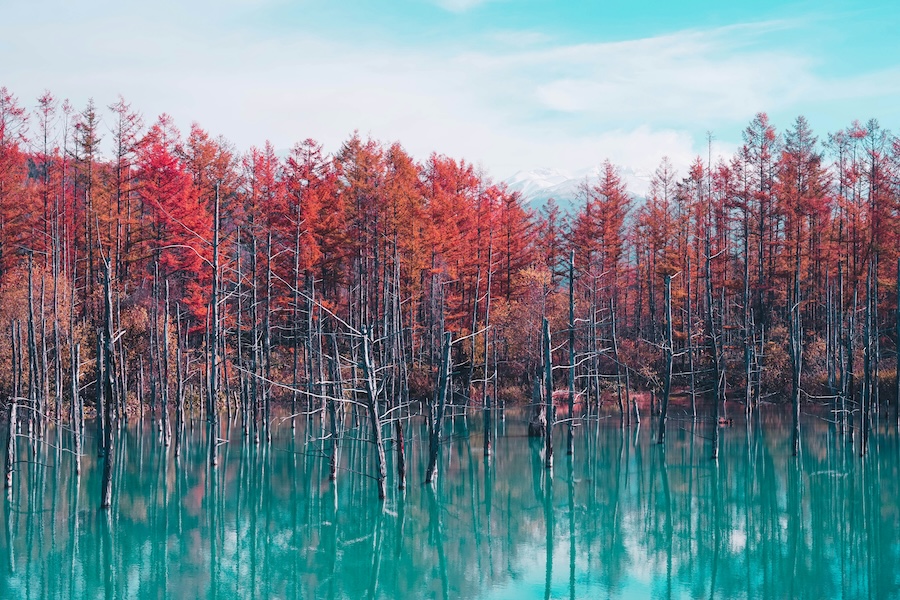 Blue pond, Hokkaido, with fall colors. Blue pond, Hokkaido, with fall colors.