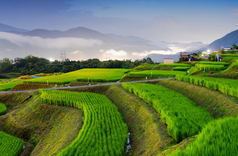 Obasute, Nagano, Japan rice terraces at dusk in summer.