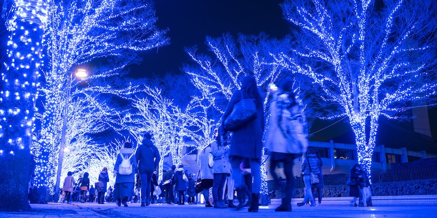 Visitors to Shibuya Blue Cave. Visitors to Shibuya Blue Cave.