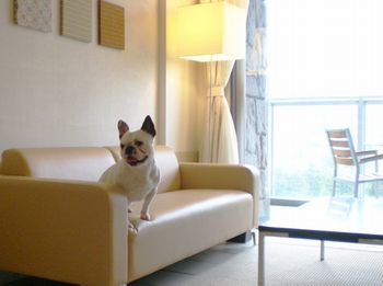 Hotel others image