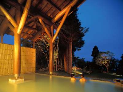 Towada Prince Hotel image