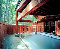 Kyukamura Nyuto Onsenkyo image