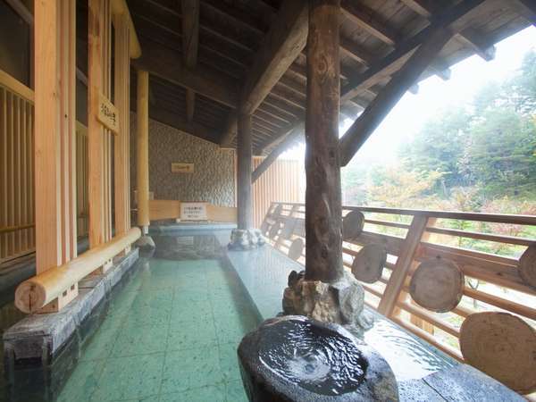 Shin Appi Onsen Seiyukaku photo