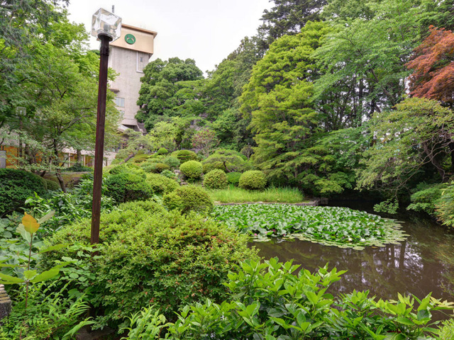 Hachinohe Park Hotel image