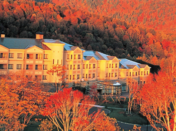 Exterior - autumn photo