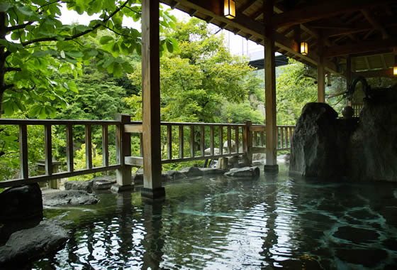 Toryukan image
