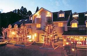 Hotel Natural Garden Nikko image