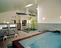 Nikko Green Hotel Natsukashiya Fuwari image