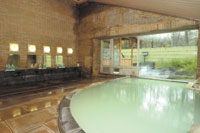 Nikko Astraea Hotel image