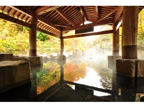 Takaragawa Onsen Osenkaku image