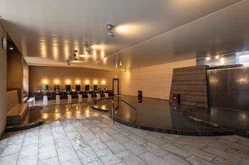 Hotel Ichii image