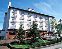 Hotel New Ikaho image