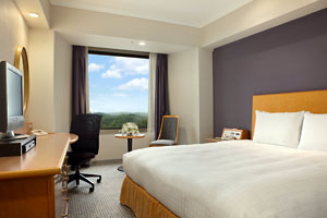 Hilton Tokyo Narita Airport photo