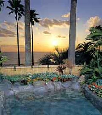 Hotel Jungle Palace image