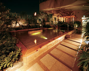 Spa & Hotel Maihama Eurasia image
