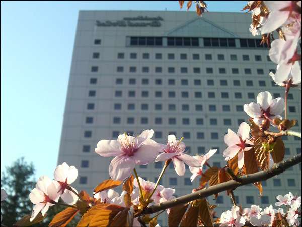 Hotel others image
